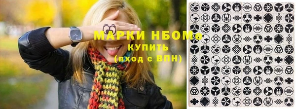 прущие грибы Приозерск