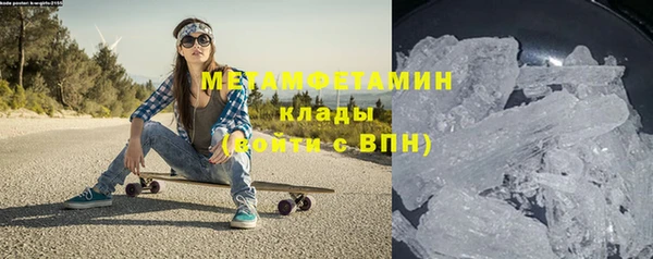 прущие грибы Приозерск